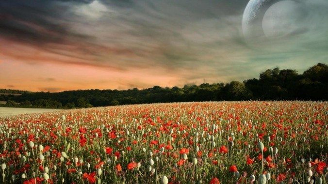 有没有宝塔平替的服务器管理面板，现在宝塔越来越贵了，也太臃肿了？